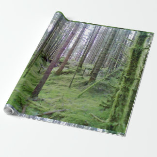 Papier Cadeau Beaucoup d'arbres dans la forêt