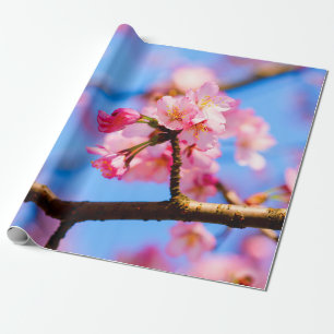 Papier Cadeau Beauté Charmante Des Fleurs Sakura Au Printemps