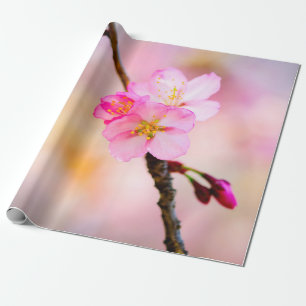 Papier Cadeau Beautiful Sakura Cherry