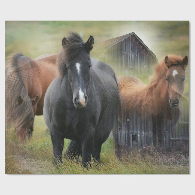 Papier Cadeau Beaux chevaux et grange rustique (Plat)