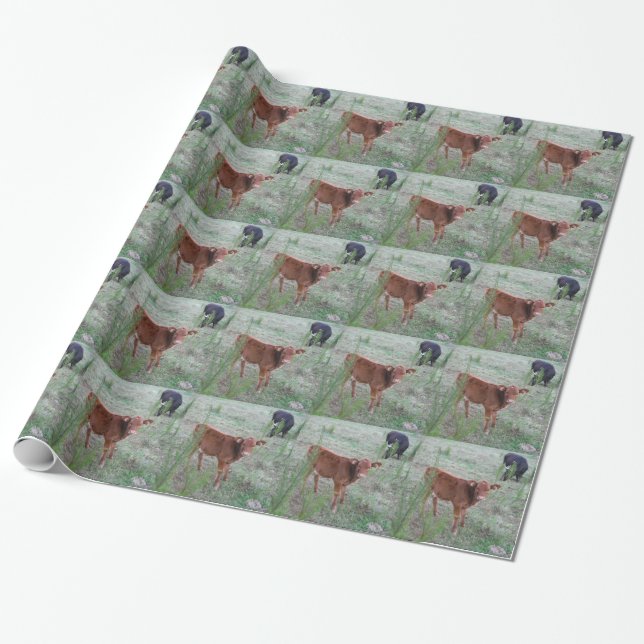 Papier Cadeau Bébé vache Brown. (Déroulé)