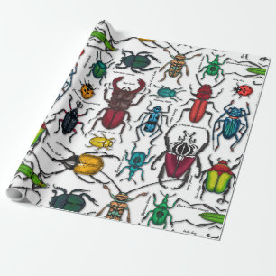 Papier Cadeau Beetons sur blanc