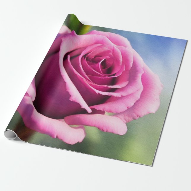 Papier Cadeau Belle aquarelle rose rose collection moderne (Déroulé)