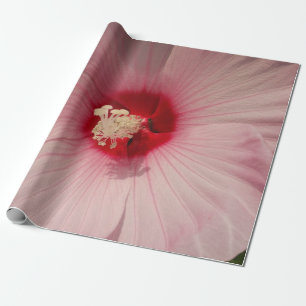 Papier Cadeau Belle Fleur rose Fermer PhotoPapier d'enveloppemen