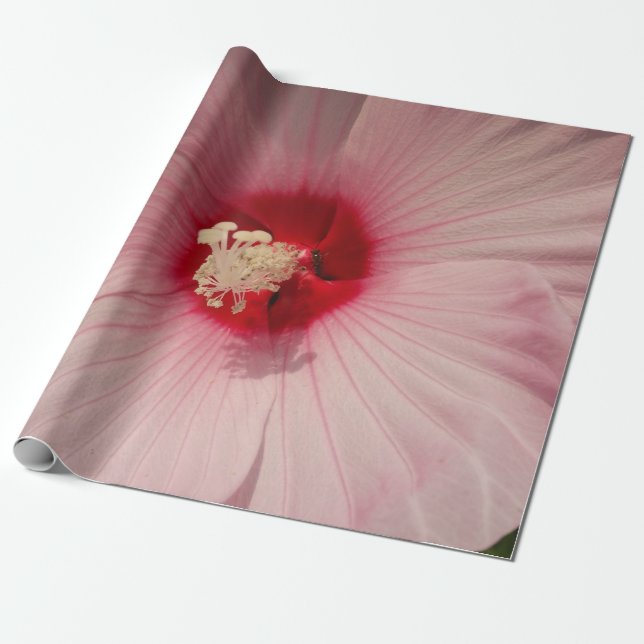 Papier Cadeau Belle Fleur rose Fermer PhotoPapier d'enveloppemen (Déroulé)