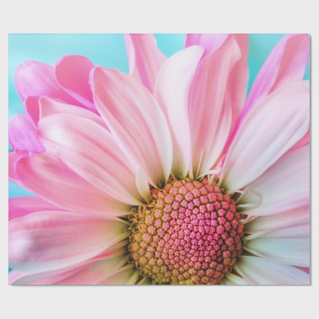 Papier Cadeau Belle Fleur rose Gros plan Photo (Plat)