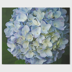 Papier Cadeau Belle Hydrangée Bleue Fleurs Photo