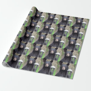 Papier Cadeau Belle Ours Noir
