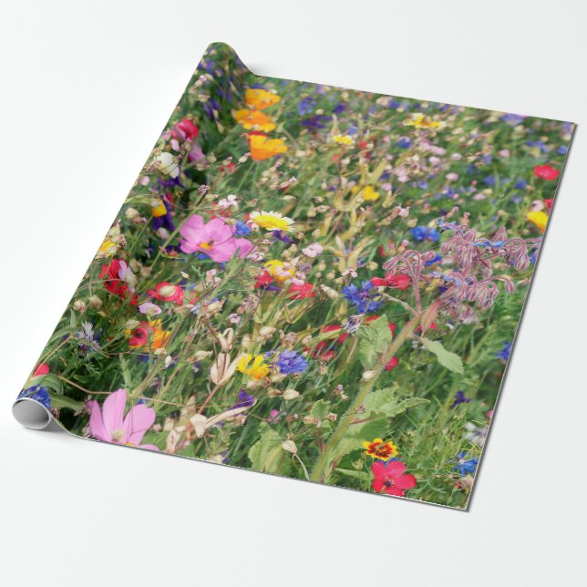 Papier Cadeau belle prairie colorée de fleurs sauvages (Déroulé)