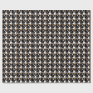 Papier Cadeau Berger des Shetland Noir et Blanc