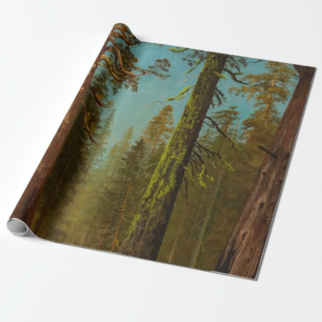 Papier Cadeau Bierstadt Peinture forestière géante Sequoia (Déroulé)
