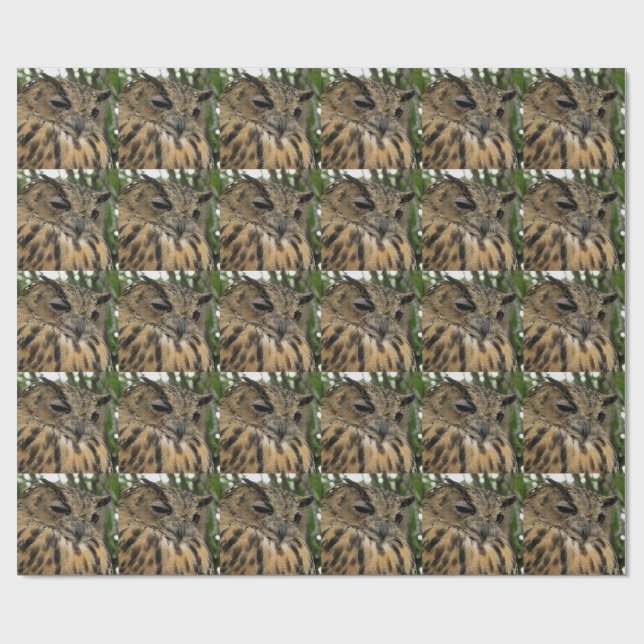 Papier Cadeau Big Owl Bubo Boo - Série Halloween (Plat)