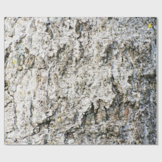 Papier Cadeau Birch bark pattern