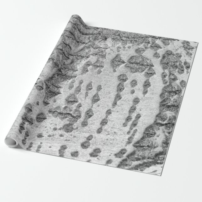 Papier Cadeau Birch bark pattern wrapping paper (Déroulé)