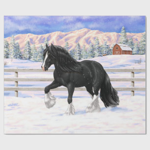 Papier Cadeau Black Gypsy Vanner Irlandais Cob Brouillon Cheval 