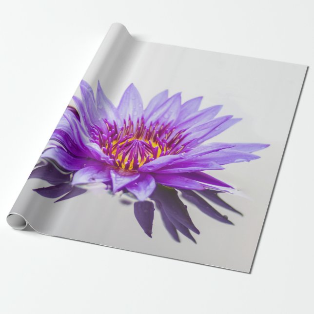 Papier Cadeau Blanc Violet Lotus Flower Zen (Déroulé)