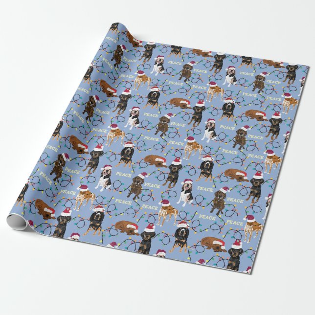 Papier Cadeau Bleu des lumières de Santa hats (Déroulé)