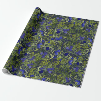 Papier Cadeau Bleu Juniper