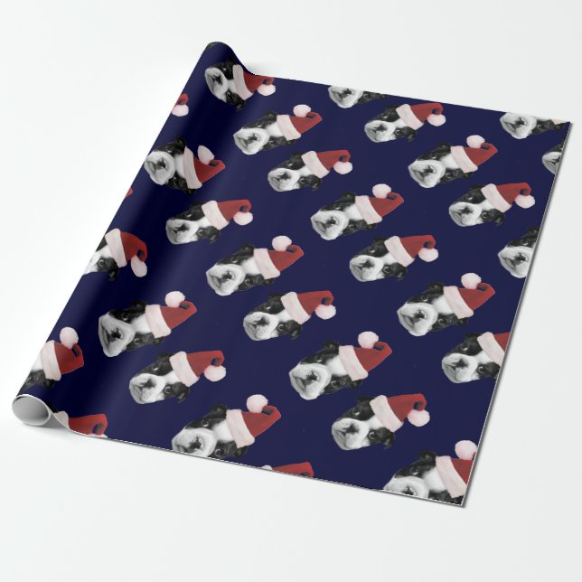Papier Cadeau Blue Christmas Boston Terriers wrapping paper (Déroulé)