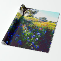 Bluebonnet stylistique