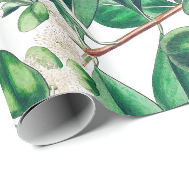 Papier Cadeau Botanica (Coin rond)
