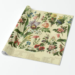 Papier Cadeau Botaniques vintages