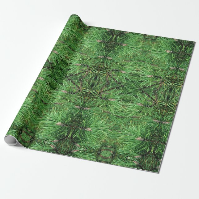 Papier Cadeau Boughes de pinceaux roulés (Déroulé)