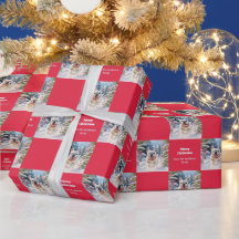 Bouledogue Français Blanc dans la neige rouge Noël