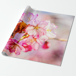 Papier Cadeau Bouquet De Fleurs De Sakura Rose
