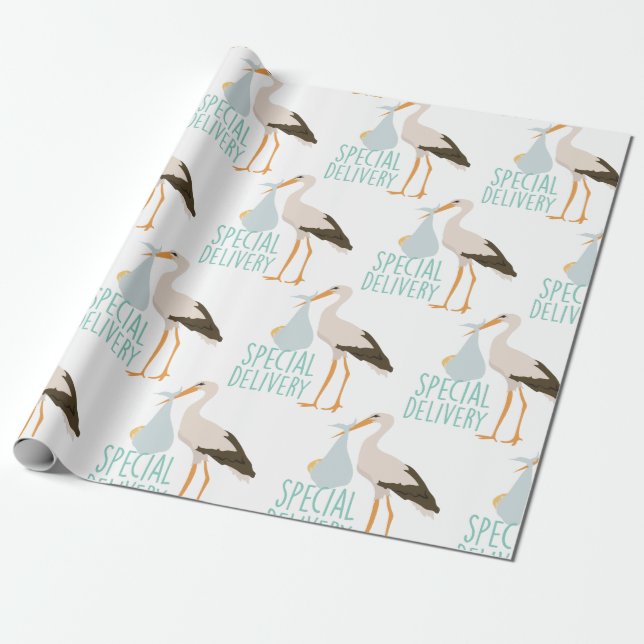Papier Cadeau Boutique de livraison spéciale (Déroulé)