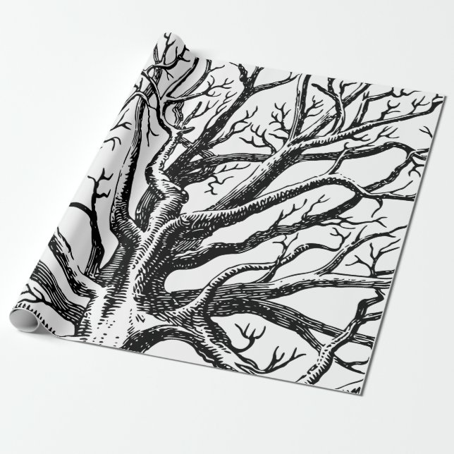 Papier Cadeau Branches rustiques Abstraites en noir et blanc (Déroulé)