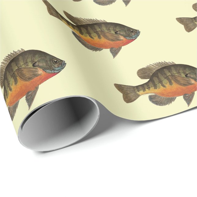 Papier Cadeau Bream, Bluegill (Coin rond)