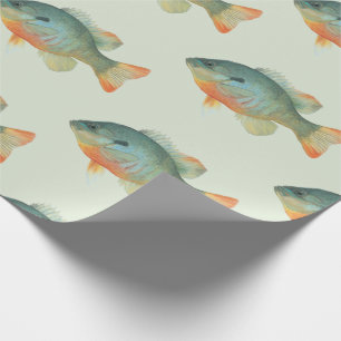 Papier Cadeau Bream Bluegill Sunfish Perch Poisson Cadeau