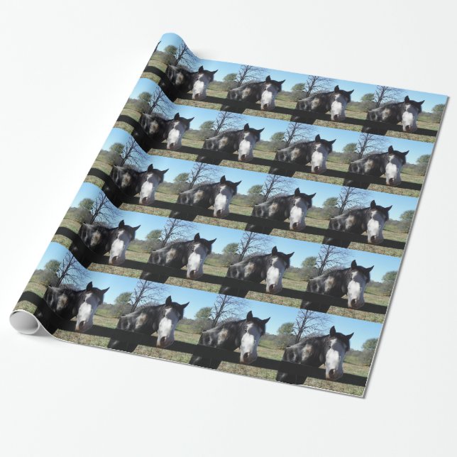 Papier Cadeau Brown &blanc, Cheval Peint, ciel bleu vif (Déroulé)