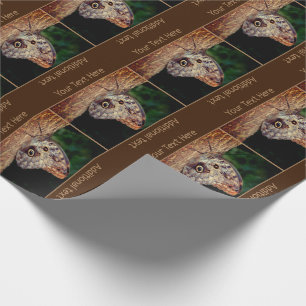 Papier Cadeau Brown Chouette papillon Nature personnalisée