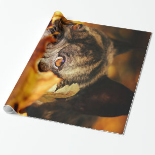 Papier Cadeau Bulldog Chien mignon Français Bulldog Lover Cadeau