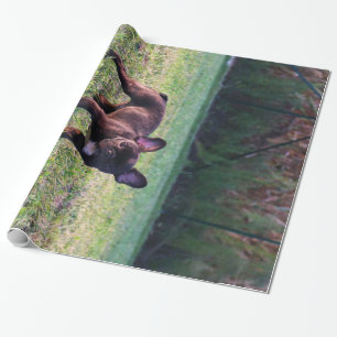 Papier Cadeau Bulldog Chiot Dans L'Herbe Photo Mignonne Amateur