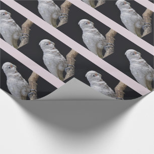 Papier cadeau Cacatoès de Goffin
