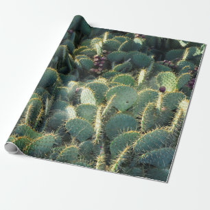 Papier Cadeau Cactus épineux