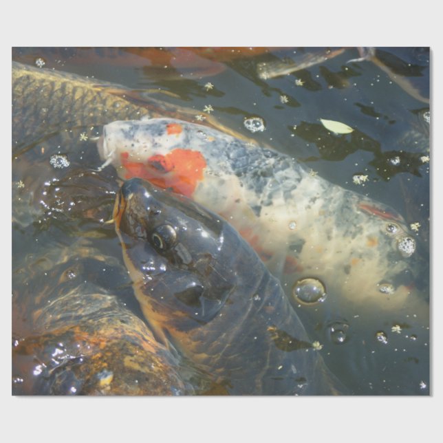 Papier Cadeau Cadeau de papier d'emballage de lac fish Pond de (Plat)