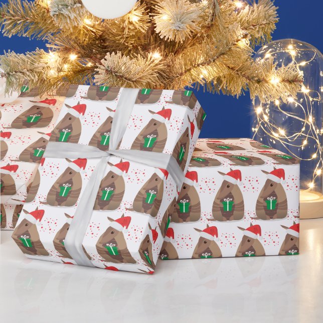 Papier Cadeau Cadeaux père Noël Armadillo Texas (Vacances)