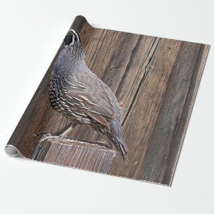 PAPIER CADEAU CALIFORNIA QUAIL À BARNBOARD