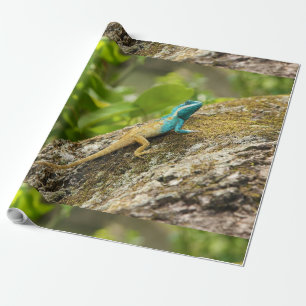 Papier Cadeau Calotes de Lizard Bleu Mystaceus
