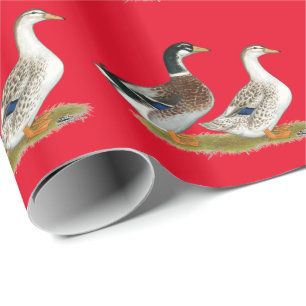 Papier Cadeau Canards :  Argent