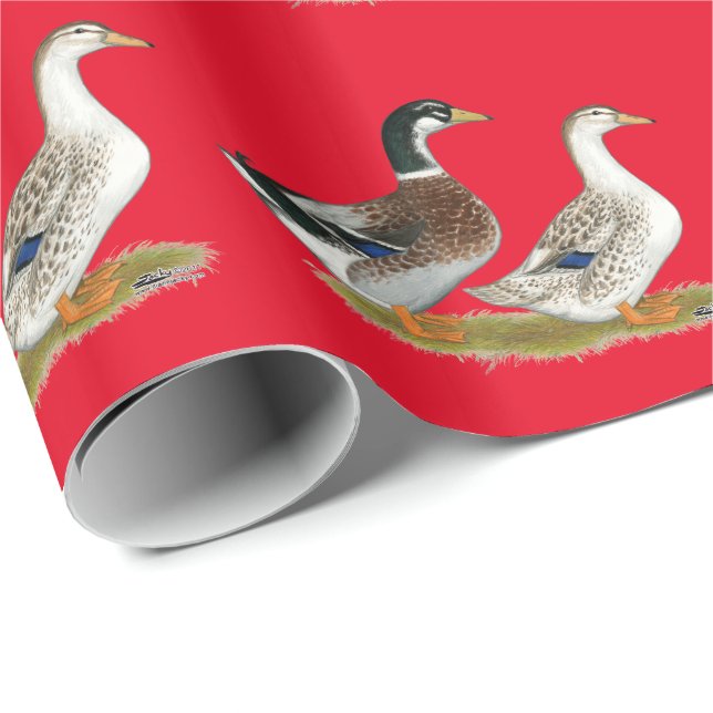 Papier Cadeau Canards : Joyeuse Argent (Coin rond)