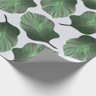 Papier Cadeau Canna Tropicanna Feuilles tropicaux, Vert