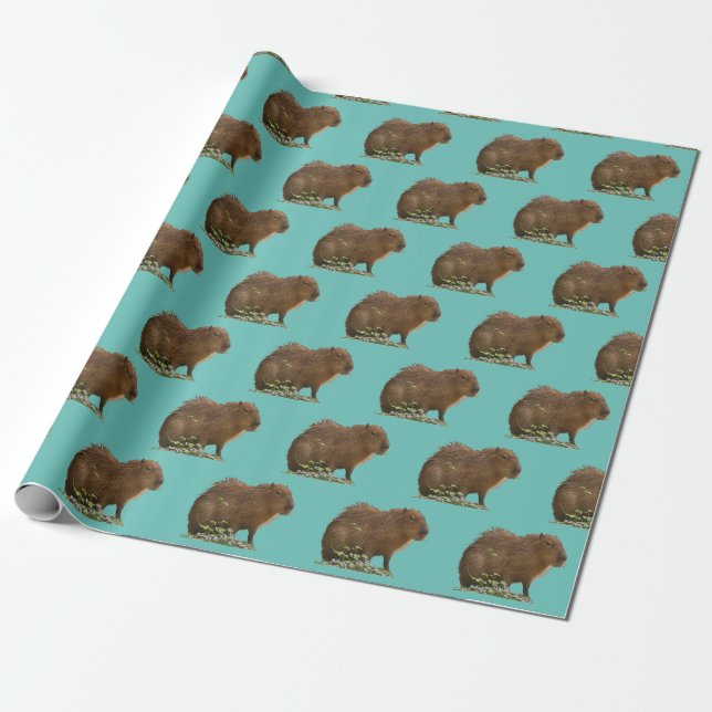 Papier Cadeau Capybara (Déroulé)