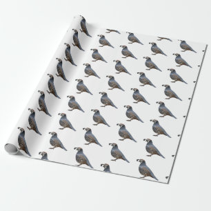 Papier Cadeau Caricature d'oiseau de caille de Californie
