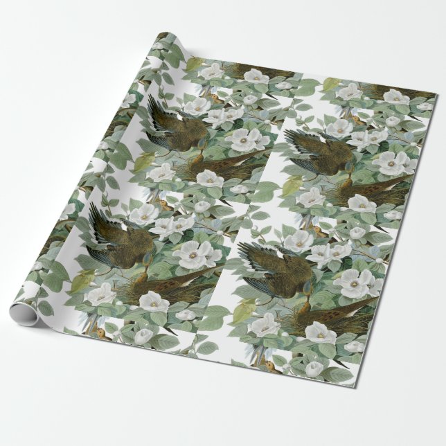 Papier Cadeau Carolina Pigeon Audubon Morning Dove (Déroulé)