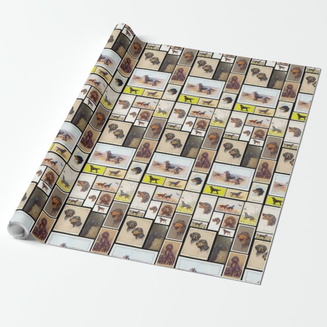 Papier Cadeau Cartes de cigarette de poseur de Gordon (Déroulé)